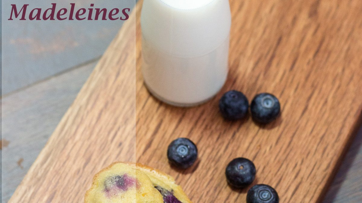 Lemon and Blueberry Madeleines