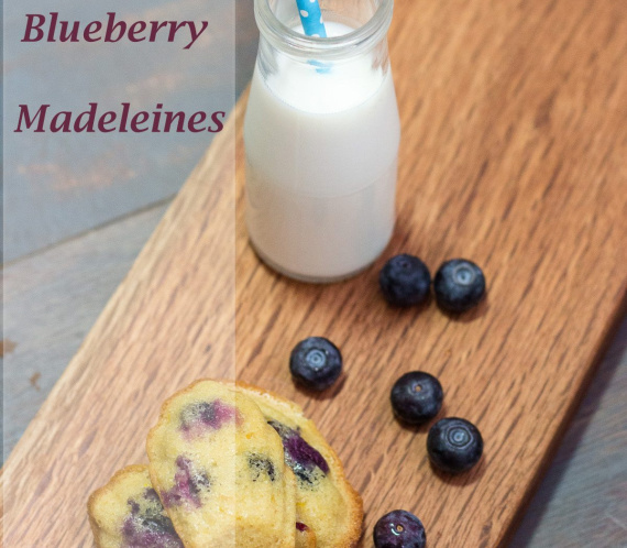 Lemon and Blueberry Madeleines