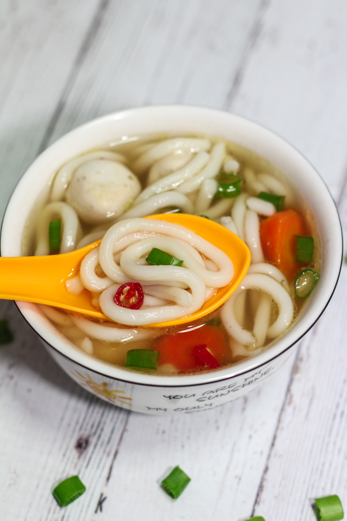 15 Minute Udon Noodle Soup - Maya Kitchenette