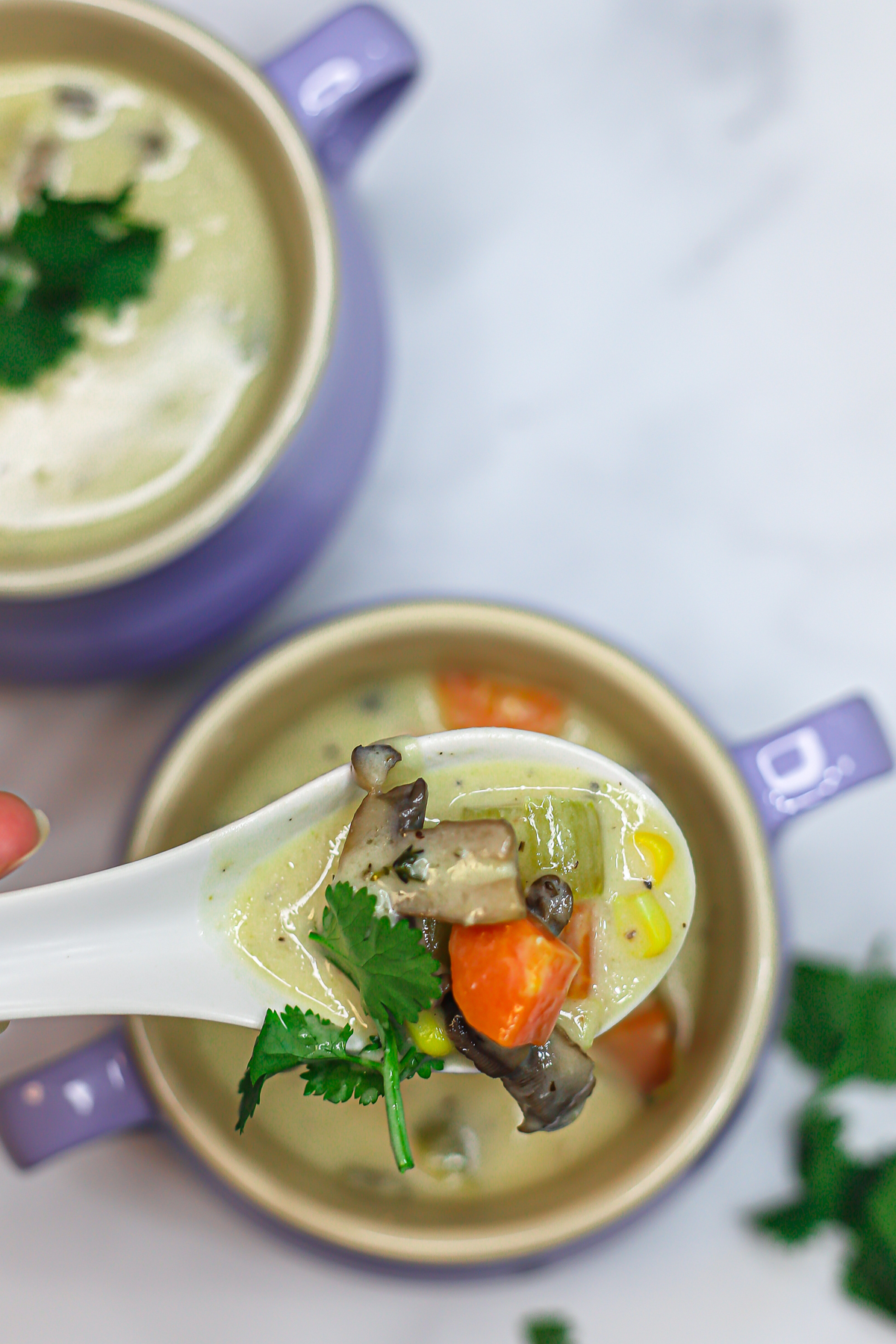 Delicious Creamy Chicken Soup